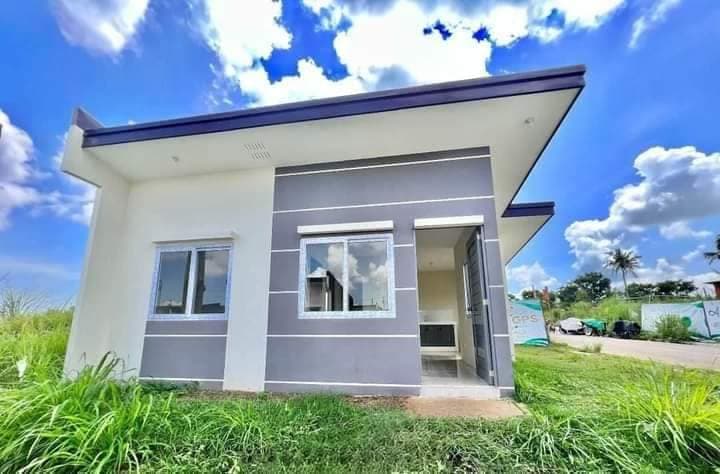 FOR SALE! House and Lot w/ 2 BR Bungalow in Brgy Taculing Bacolod City-AP