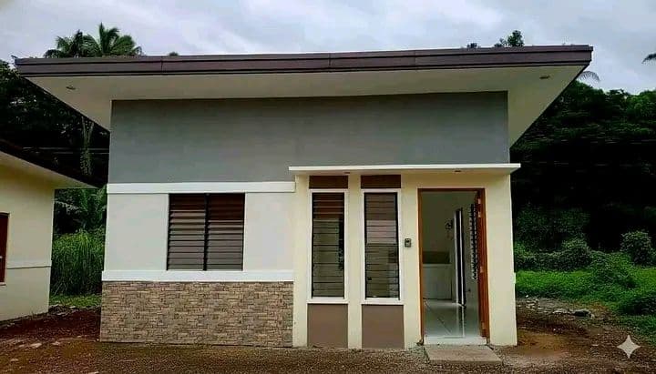 FOR SALE! House and Lot Bungalow with Firewall Pre Selling in Brgy Granada Bacolod City-AP