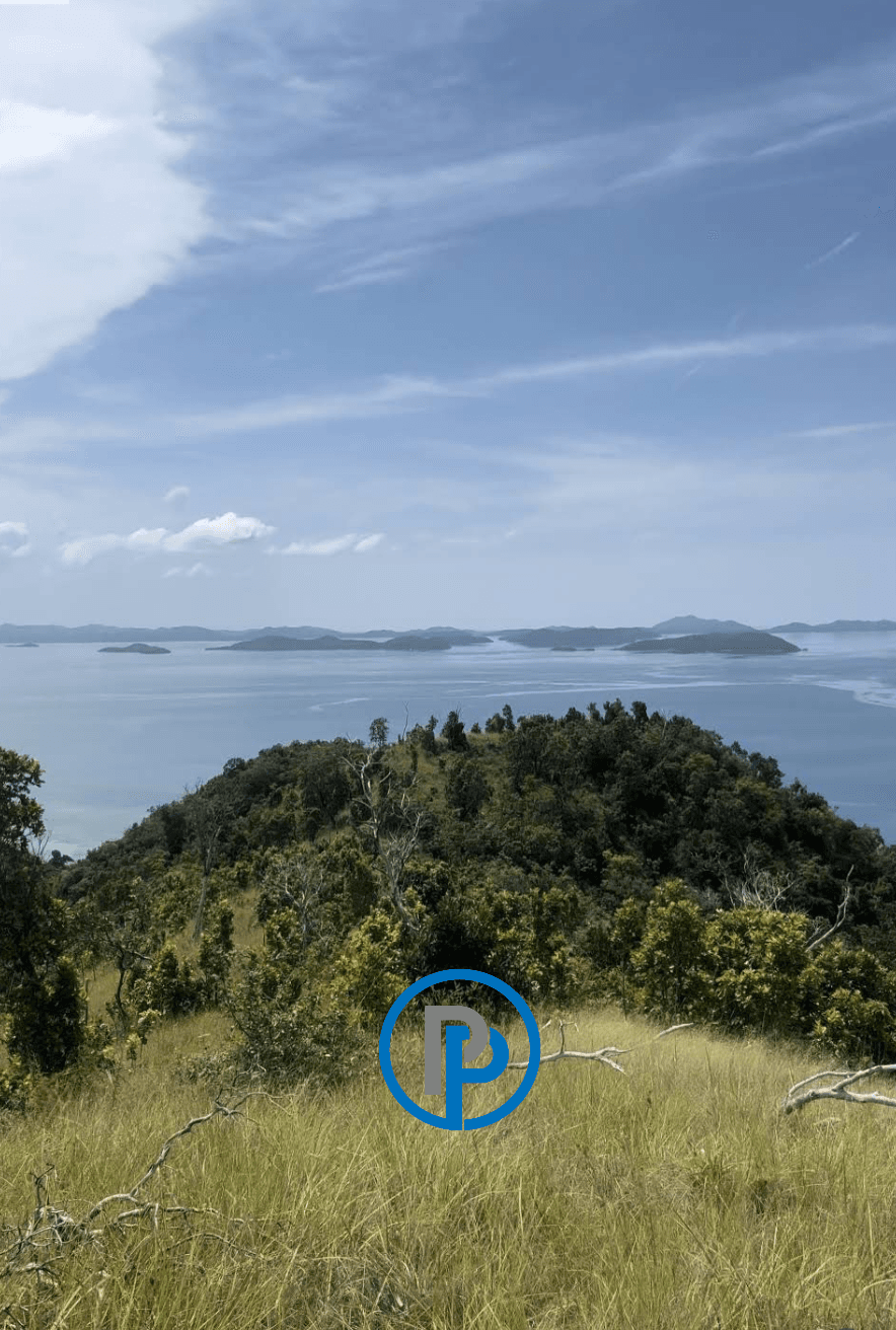 Overlooking Sea View Property with Beachfront Access | 29,508 sqm | Bogtong, Busuanga Palawan
