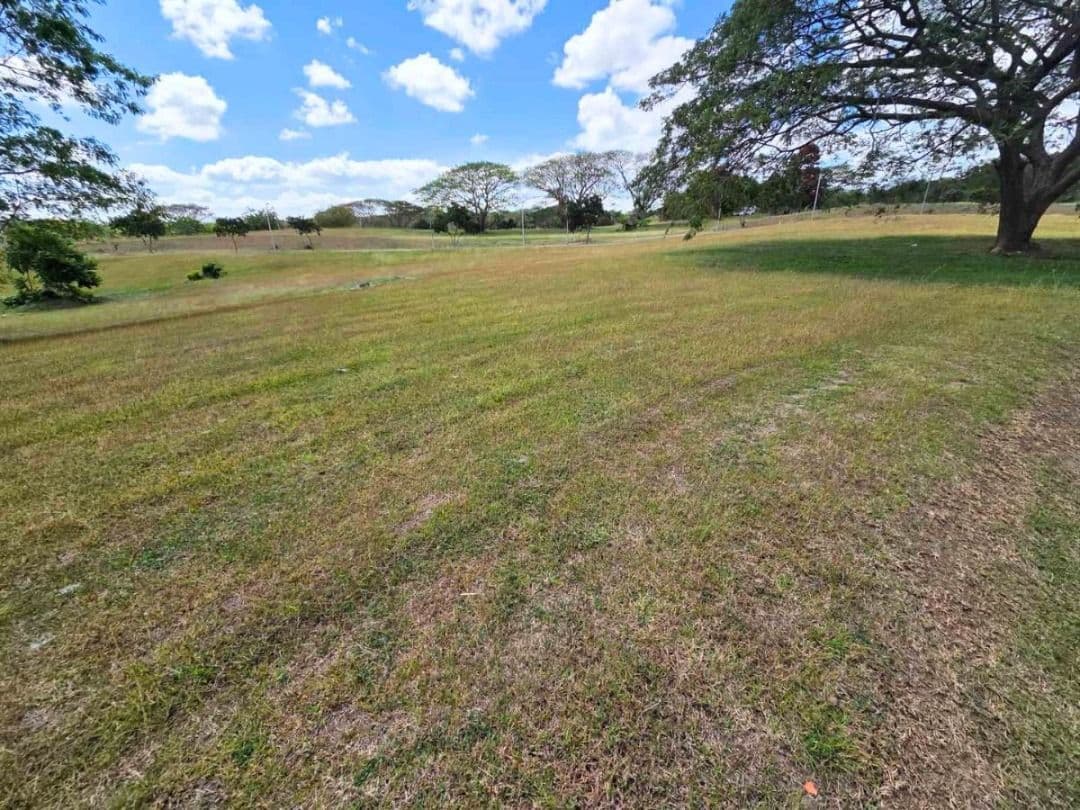 Ayala Greenfield Estate | 1BR Lot for Sale in Calamba City