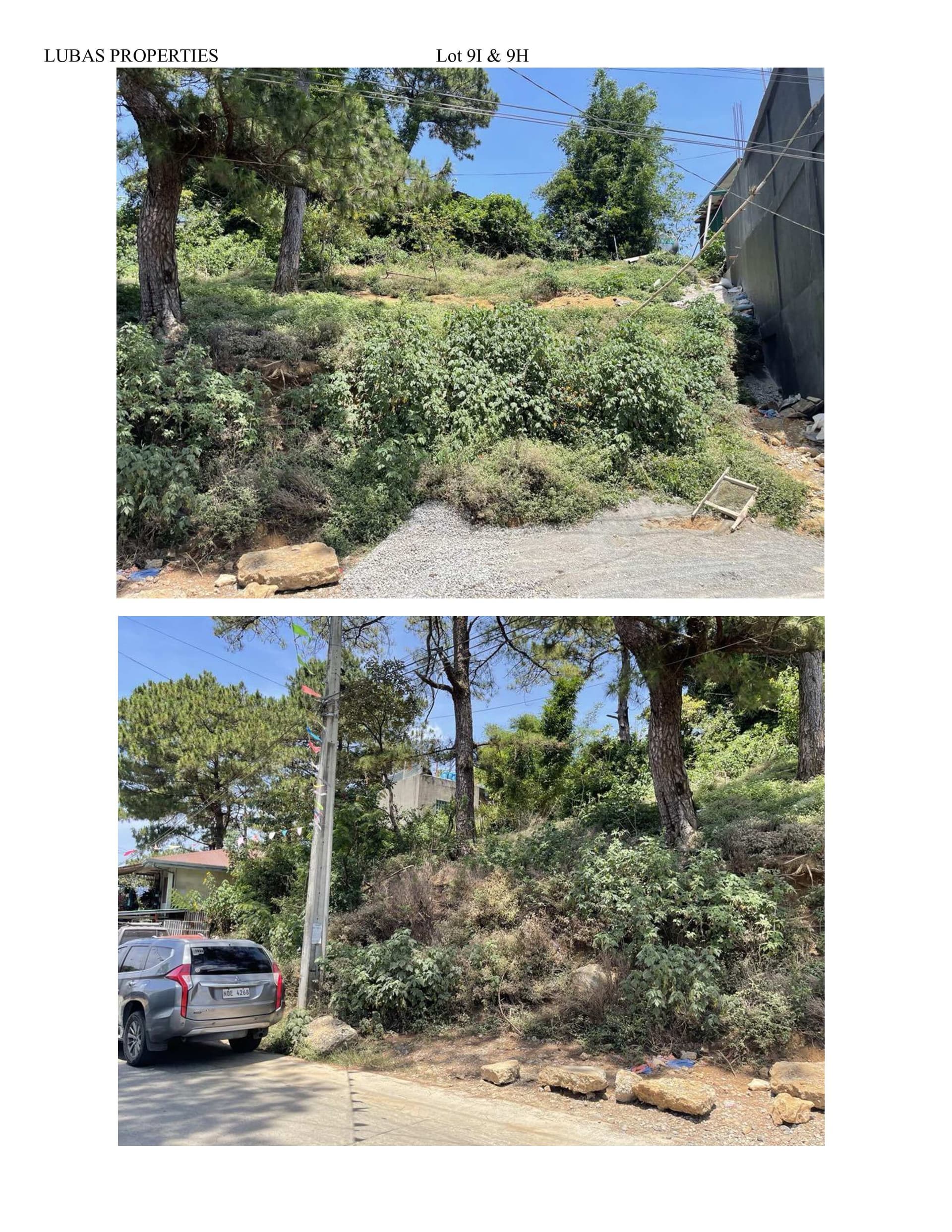 736 sqm Residential Lot For Sale in Lubas, La Trinidad Benguet - LSS