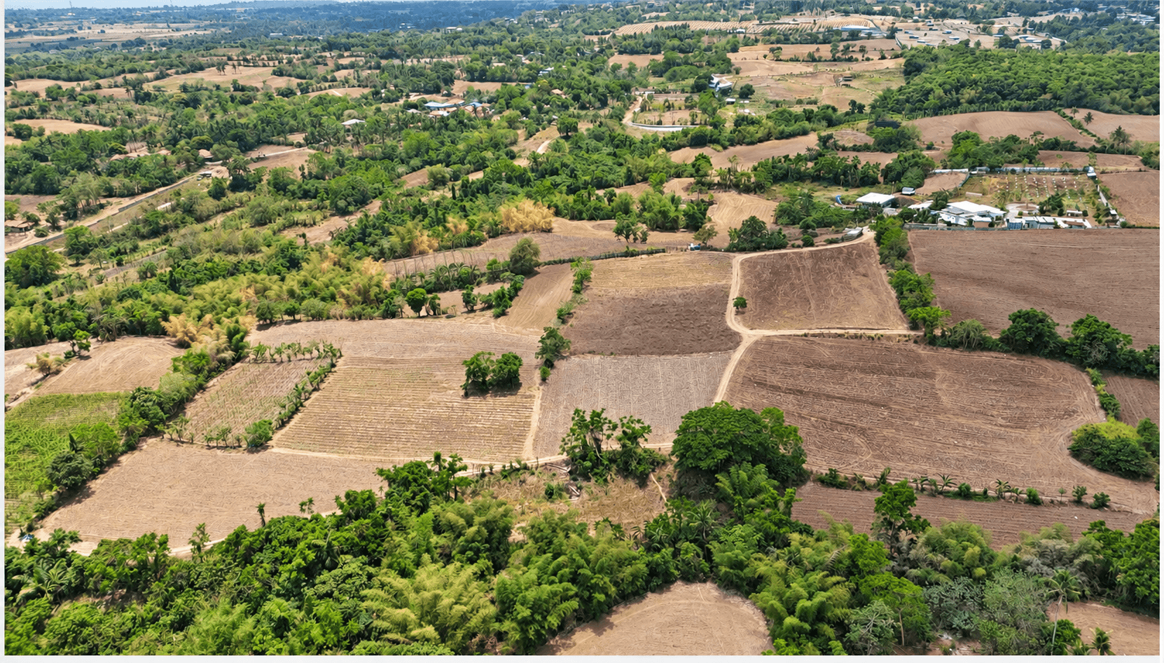 Two Large Land Parcels for Sale – Santol, Tanauan City, Batangas