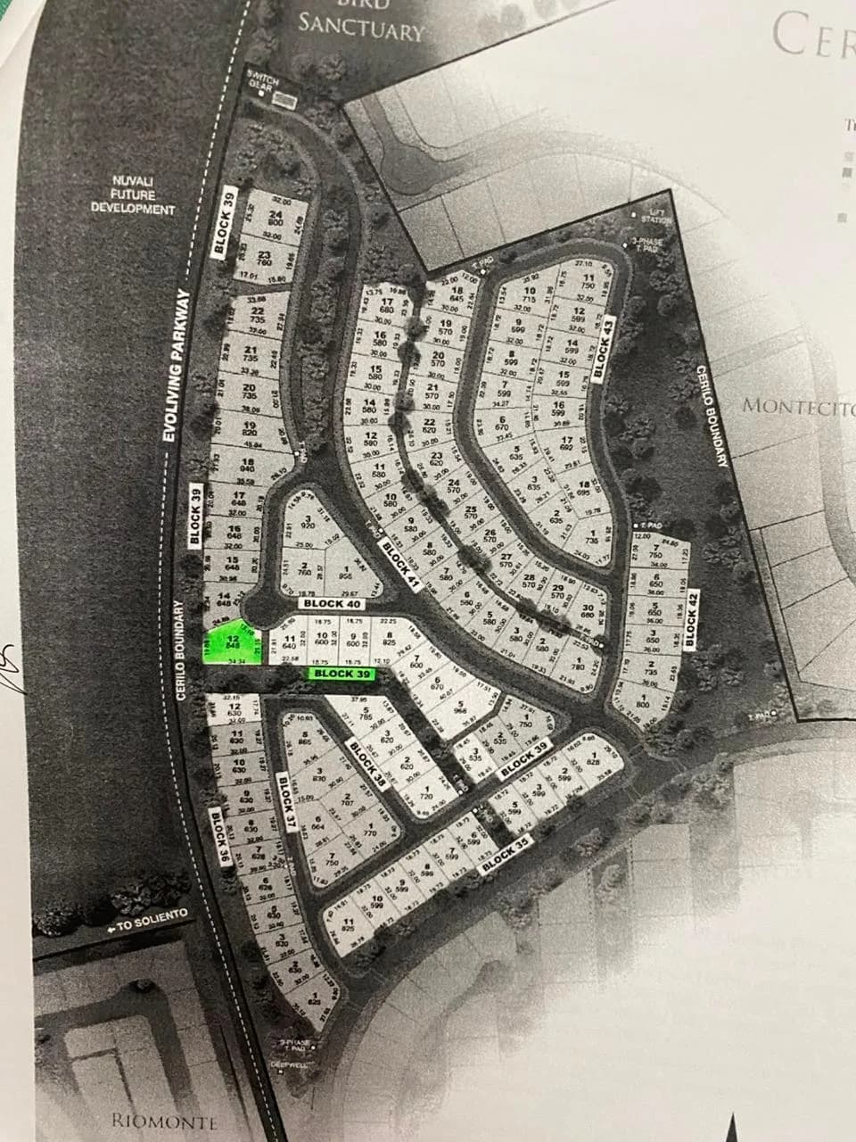 Cerilo | Lot for Sale in Laguna