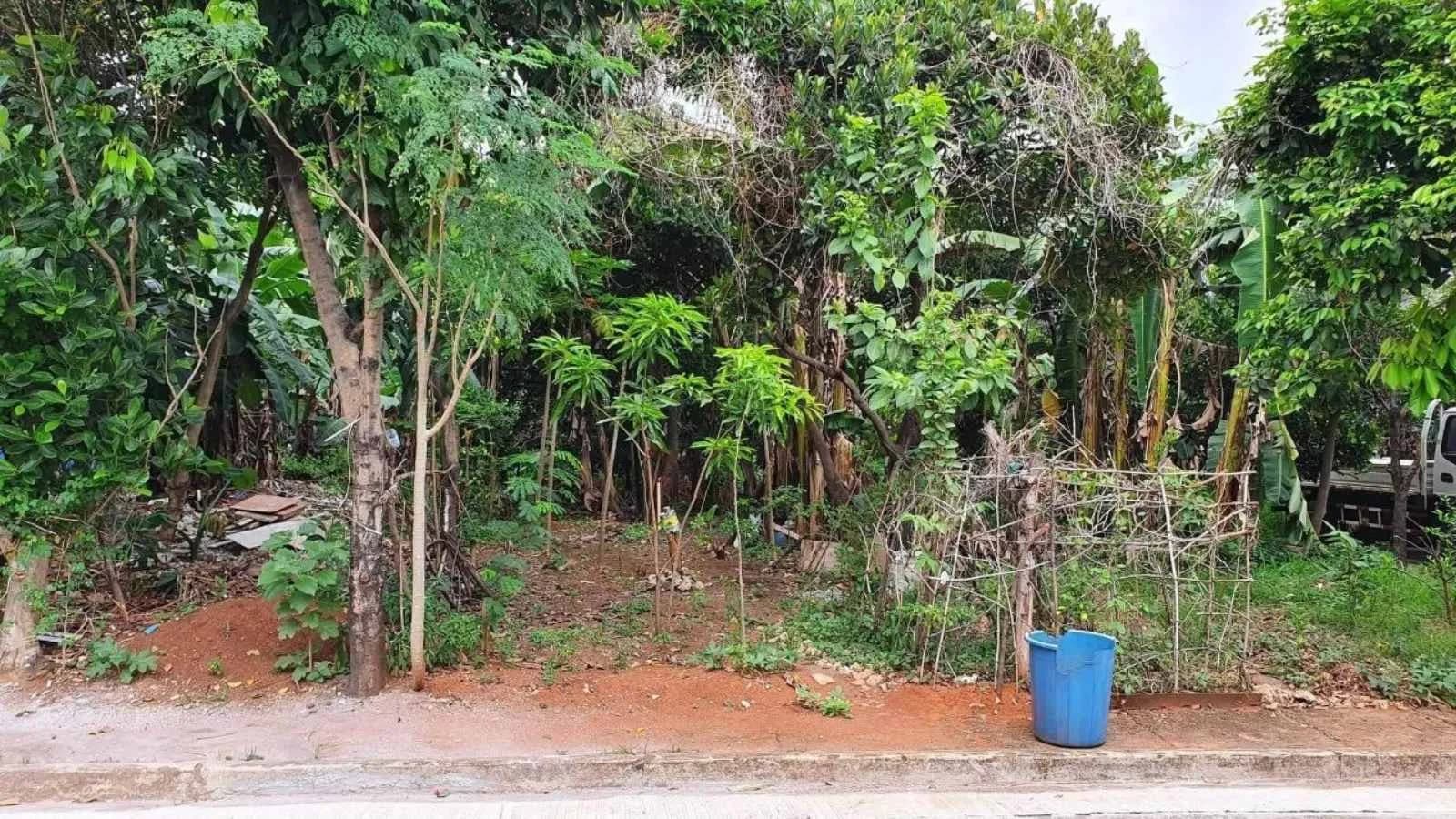 Ciudad Regina | Lot for Sale in Quezon City