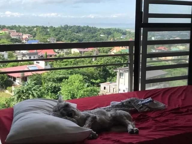 Monteverde Royale | 4BR 350sqm House & Lot for Sale in Rizal