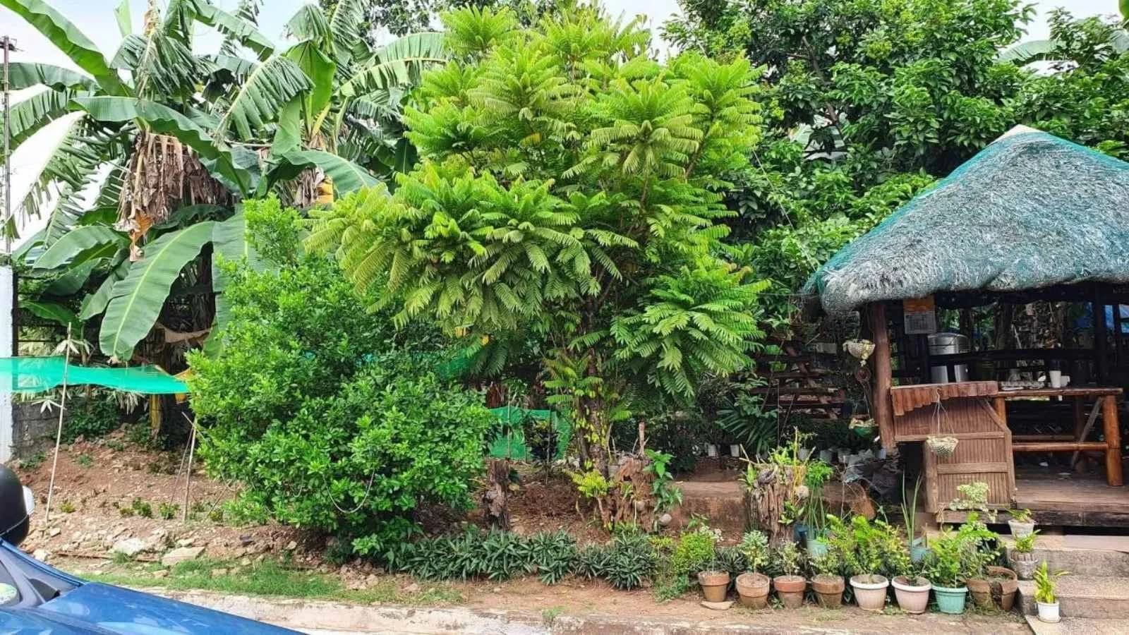 Ciudad Regina | Lot for Sale in Quezon City