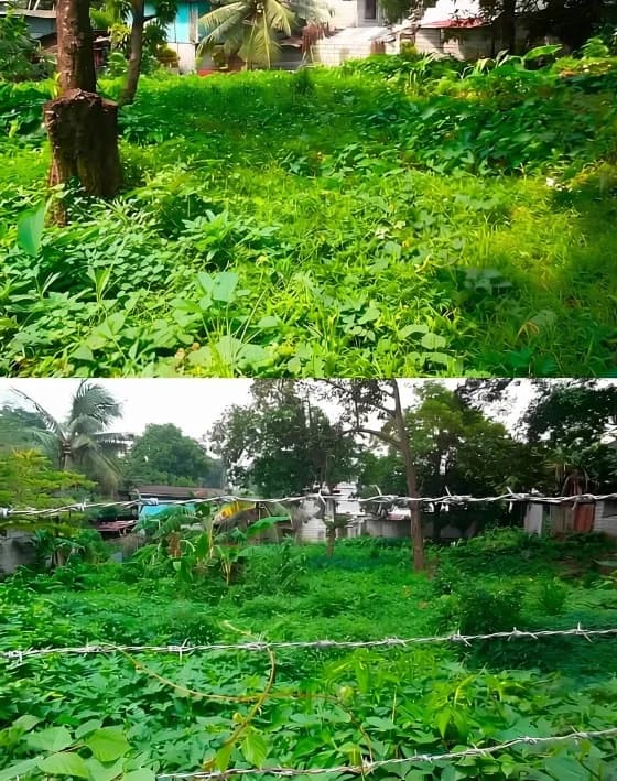 Vacant Lot In Caloocan | Lot for Sale in Caloocan City