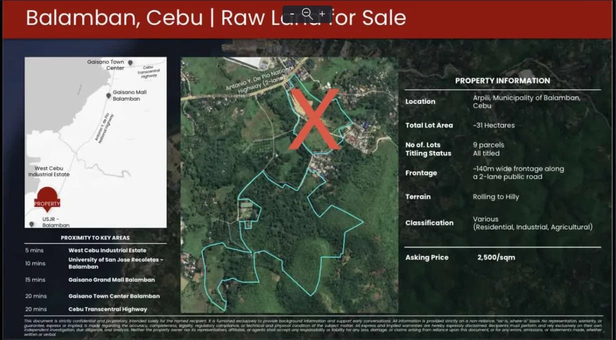Arpili, Municipality Of Balamban, Cebu | 250000sqm Lot for Sale in Cebu City