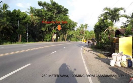 For Sale | Cabadbaran City – Commercial | 4246 sqm Lot, N/A sqm Floor Area, N/A Bedrooms, N/A Bathrooms, N/A Parking, ₱25,476,000.00 |  | As Is Where Is | Listed on Housal.com