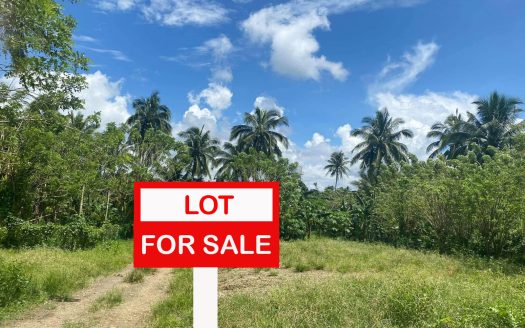 Prime Commercial Lot for Sale in Siargao – 15,000 sqm Along Maharlika Highway