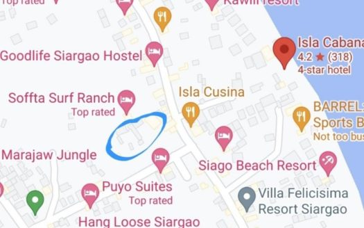 For Sale | Siargao – Commercial | 1000 sqm Lot, 1000 sqm Floor Area, N/A Bedrooms, N/A Bathrooms, N/A Parking, ₱45,000,000.00 | Siargao | Bare | Listed on Housal.com