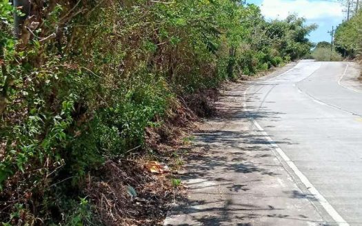 Prime 3.3-Hectare Lot for Sale Bailen, Cavite – Ideal for Commercial Development