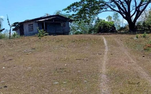 Prime 3.3-Hectare Lot for Sale Bailen, Cavite – Ideal for Commercial Development