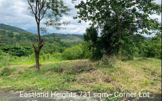 For Sale | Eastland Heights – Residential | 731 sqm Lot, 0 sqm Floor Area, N/A Bedrooms, N/A Bathrooms, N/A Parking, ₱10,965,000.00 | Rizal | As Is Where Is | Listed on Housal.com